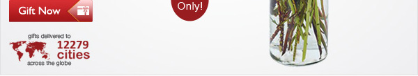 Save 50% On Exclusive Golden Christmas Arrangement. Send For Boy Friend Flowers