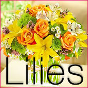 Lilies