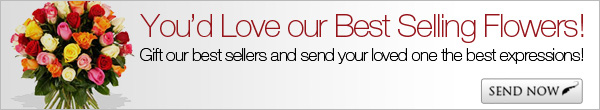 You'd Love Our Best Selling Flowers!