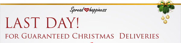 Last Day! For Guaranteed Christmas Deliveries