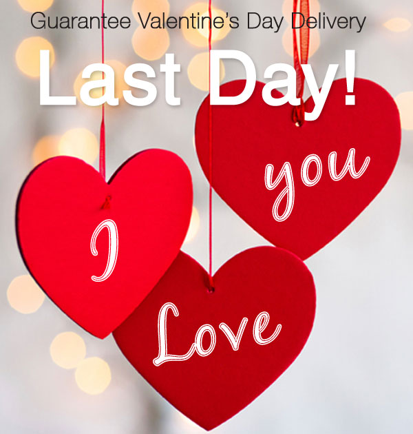 Last Day for Guarantee Delivery