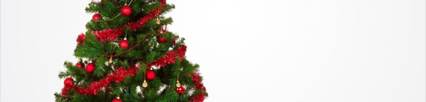 Wish You A Merry Christmas