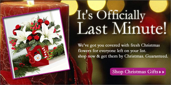 It's Officially Last Minute! 