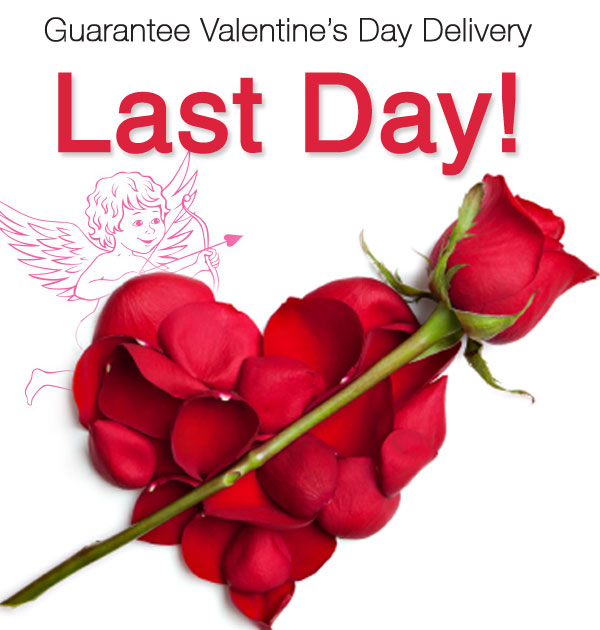Last Day for Guarantee Delivery