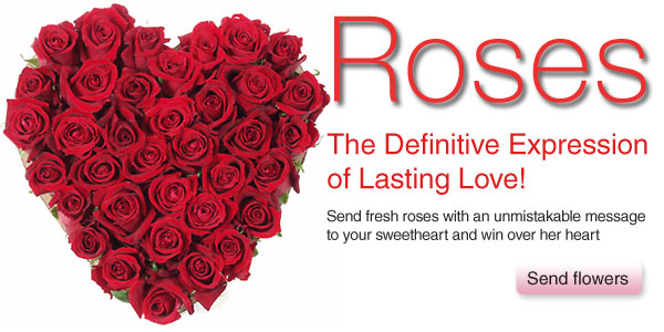 Roses - Expression of Lasting Love