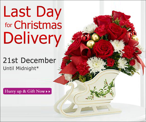 Great Gifts for Everyone on Your List