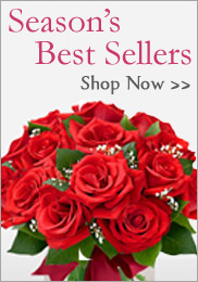 Best Sellers