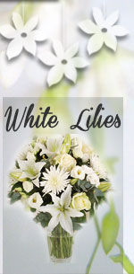 Lilies