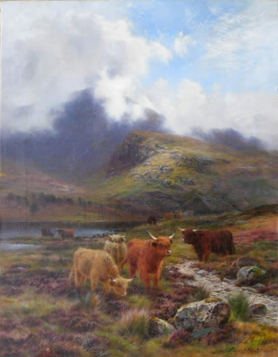 LouisHurt-HighlandCattle-lr LouisHurt-HighlandCattle-lr