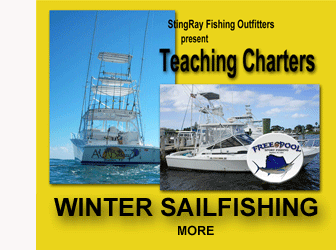 WINTERSAILFISHING 2
