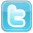 twitter small logo 2