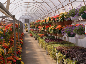 garden-center garden-center