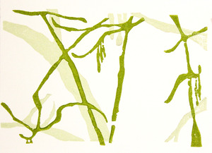 Woodblock print by Shannon Yost Woodblock print by Shannon Yost
