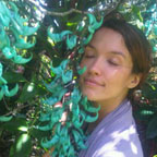 Wu Blast 1 Wu Blast 1