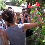 Wu Blast 2 Wu Blast 2