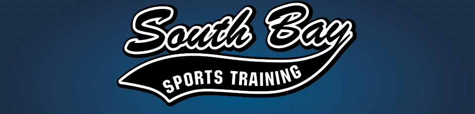 south bay banner copy copy