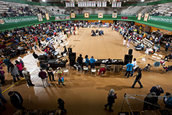 pow wow-250x167px pow wow-250x167px