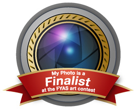 Photo_Finalist_Badge