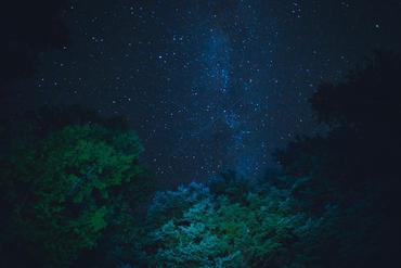 starry-night-sky-from-below-trees_925x 2