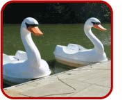 PaddleBoat 2