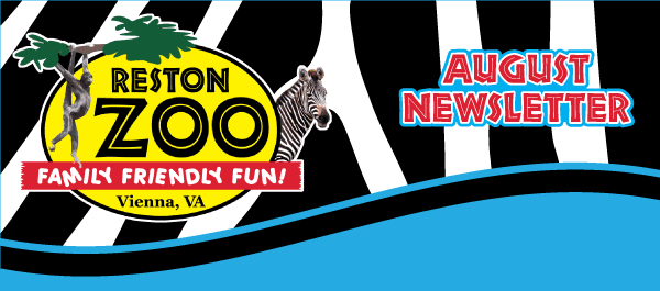 AugNewsletter_Header 2