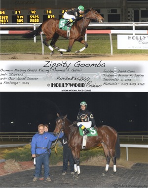 Zippity Goomba WIN 12.4.13 - 1 Zippity Goomba WIN 12.4.13 - 1