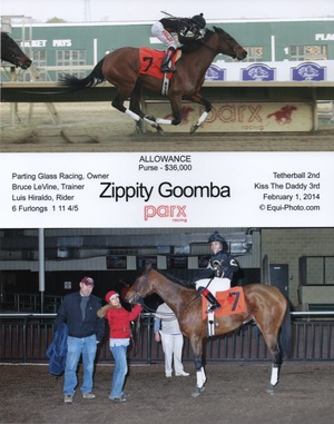Zippity Goomba WIN 2.1.14 Zippity Goomba WIN 2.1.14