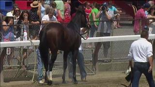 Sanctify Cooling off after WIN - 7.26.14 Sanctify Cooling off after WIN - 7.26.14