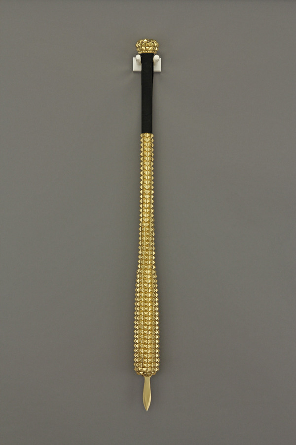 aurea lamina vespertilionem 5