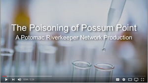 The Poisoning of Possum Point