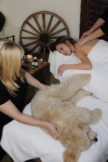 Dog massage