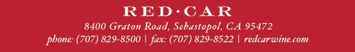 red email footer Red Car Wine Pinot & Casino Party
