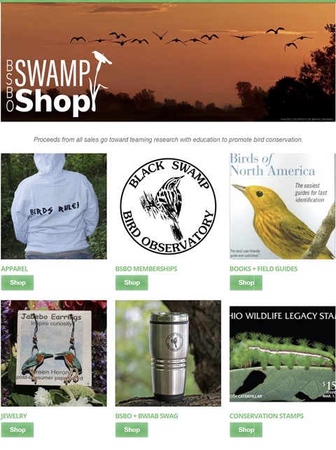 Swamp Shop  2