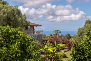 407413-6793518e-4f85-440c-9195-9e69b9a2a268