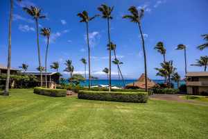 Napili Shores