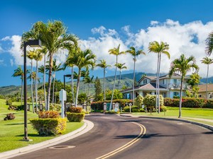 Vintage at Kaanapali
