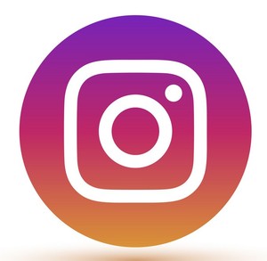 instagram-logo-icon-vector-29228004 (2)