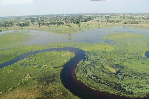 Okavango_Delta