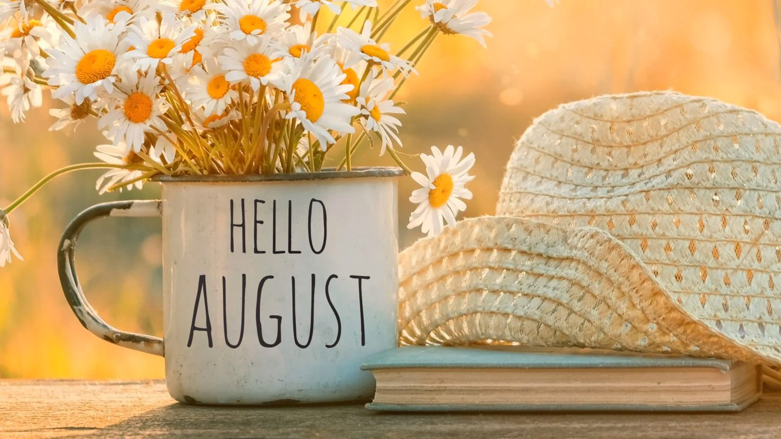 hello-august