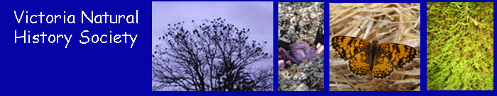 email banner copy.jpg