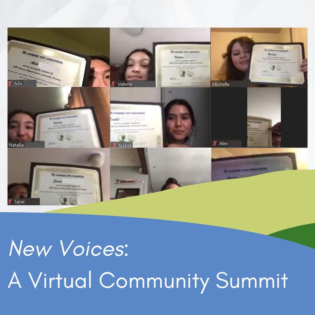 A Virtual Community Summit