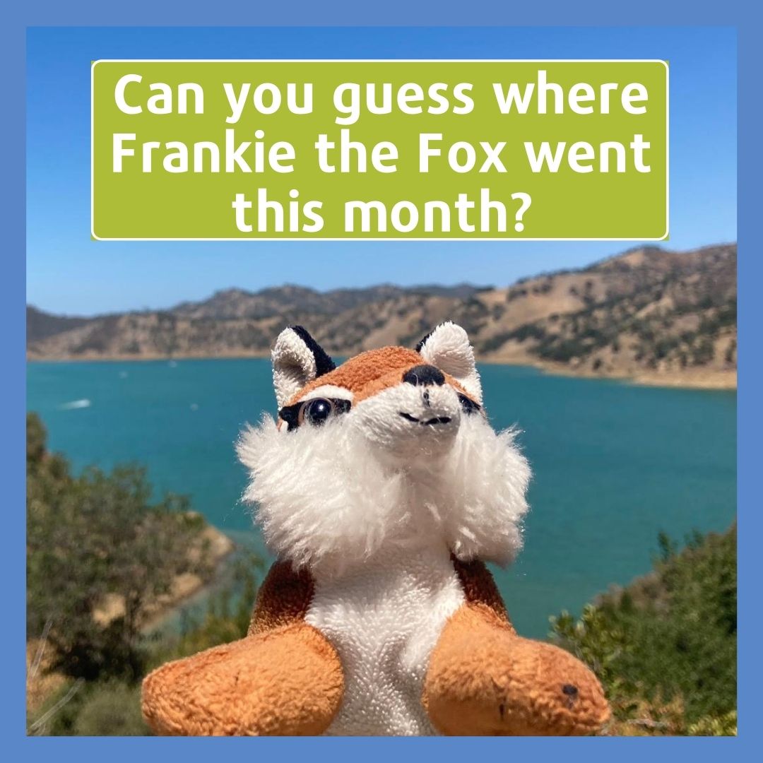 Where in the world is Frankie this month?