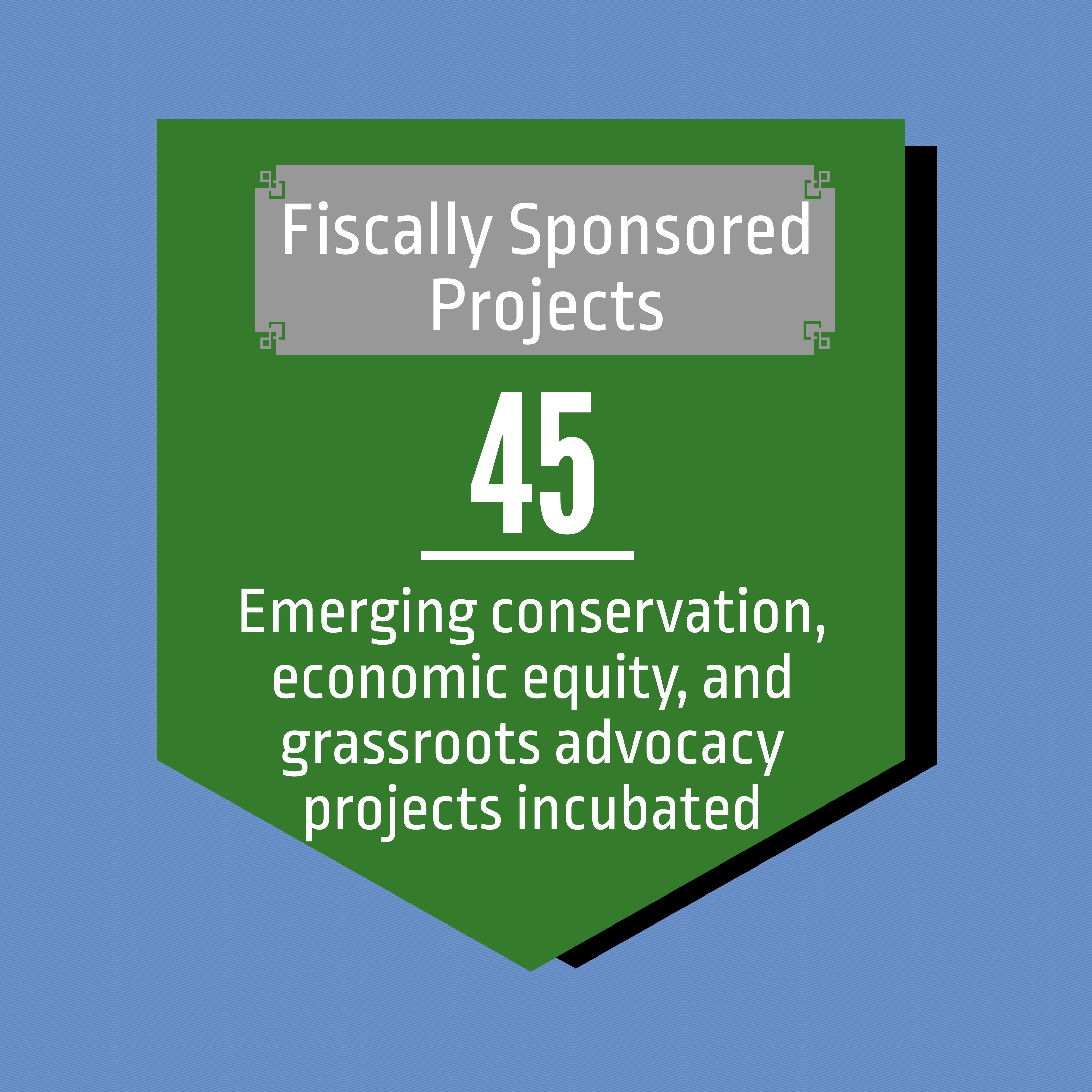 Fiscally Sponsored Projects