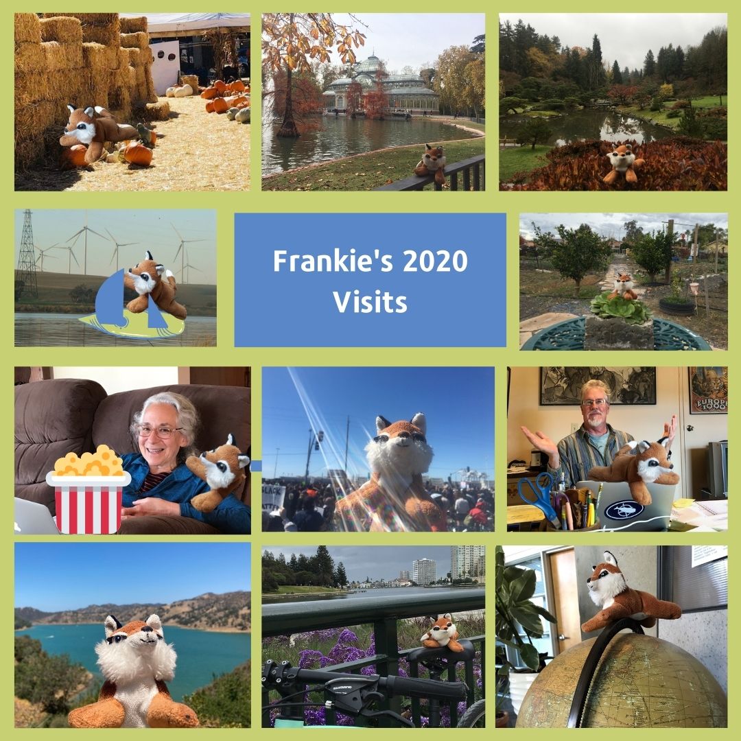 Where in the World did Frankie go this year?