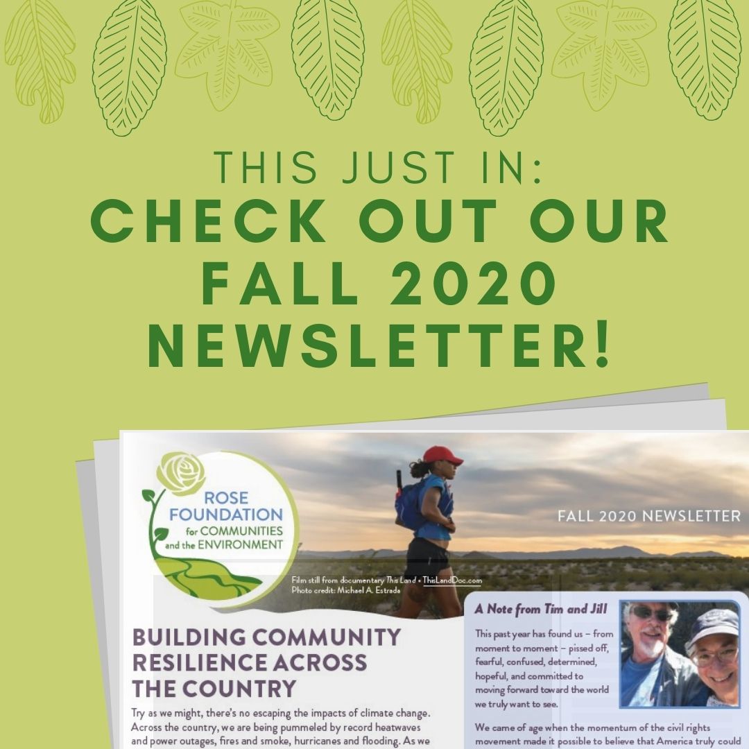 Check out our Newsletter!