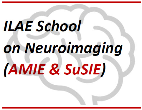 ILAE School on
                          Neuroimaging (AMIE & SuSIE)