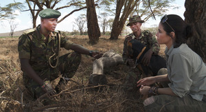 ONE BUT MANY ONE BUT MANY